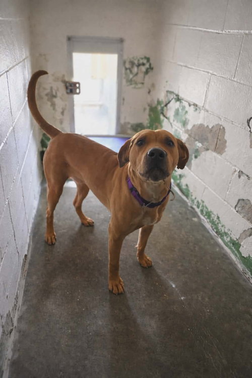 Sunny - At shelter available 4/12