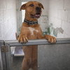 Sunny - At shelter available 4/12