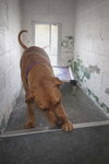 Sunny - At shelter available 4/12