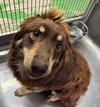 Jersey: At shelter - Photo 4