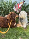Jersey: At shelter - Photo 3