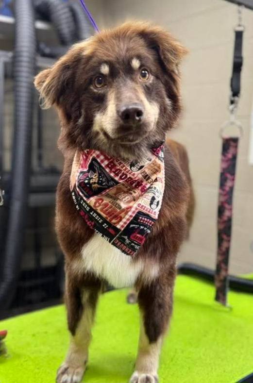 Jersey: At shelter Image
