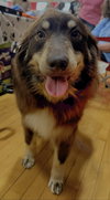 Jersey: At shelter - Photo 5