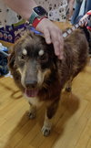 Jersey: At shelter - Photo 6