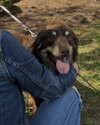 Jersey: At shelter - Photo 7