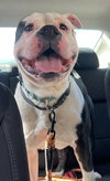Spot: At shelter - Photo 2