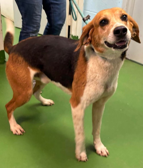 River - At shelter available 4/9