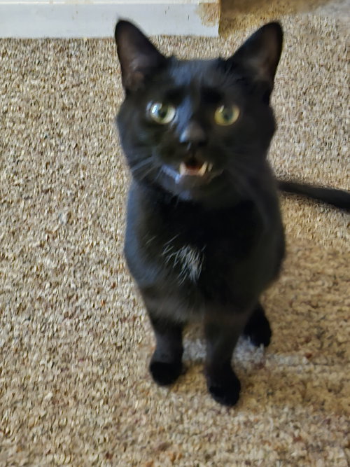 Sammy: Not at shelter