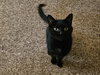 Sammy: Not at shelter