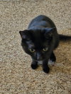 Sammy: Not at shelter