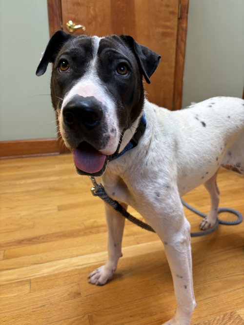 Chloe: At shelter