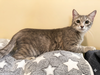 Lexi Jade: Visit at Lynchburg Petsmart