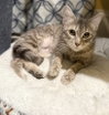 Lexi Jade: Visit at Lynchburg Petsmart