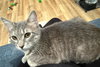 Lexi Jade: Visit at Lynchburg Petsmart