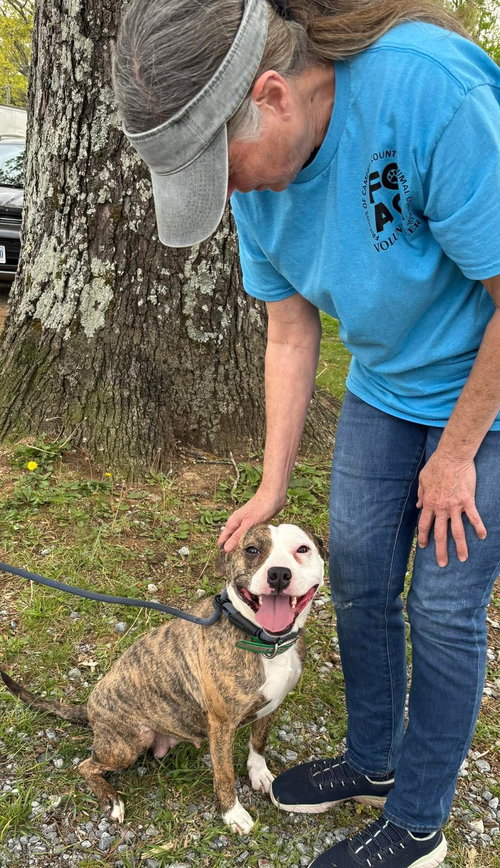 Zoey - At shelter