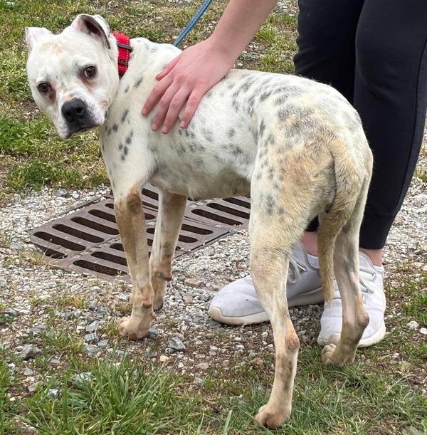 Luna: Not At shelter (Alan)