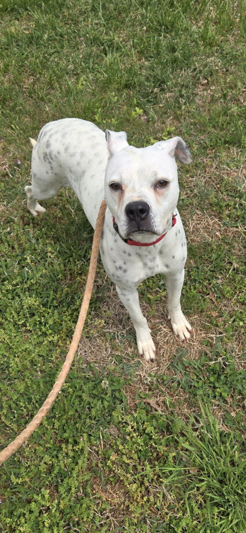 Luna: Not At shelter (Alan)
