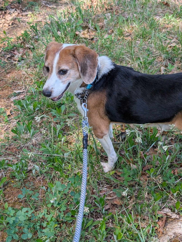 Hightower: Not At shelter (Wendy)