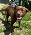 Rucker: At shelter - Photo 5