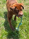 Rucker: At shelter - Photo 6
