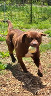 Rucker: At shelter - Photo 7