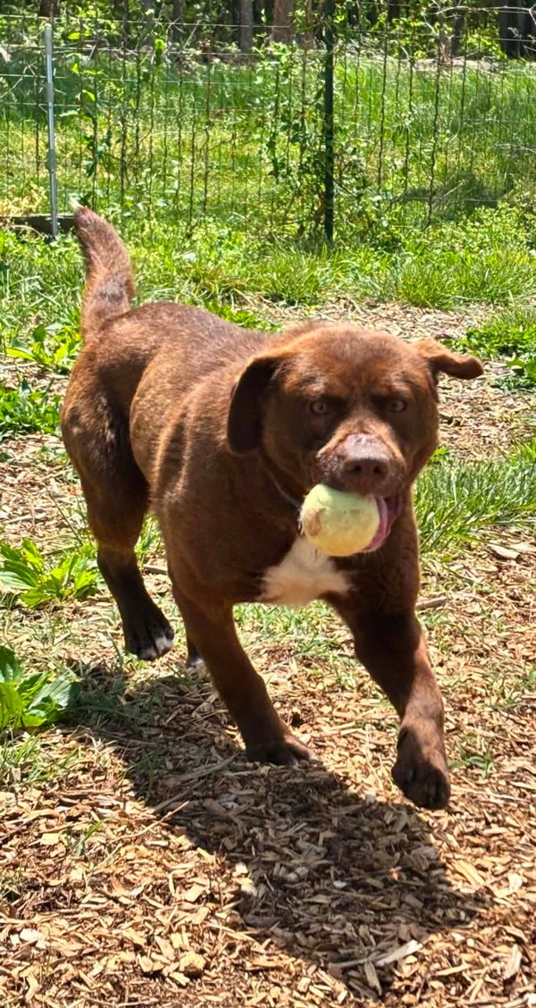 Rucker: At shelter