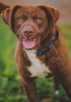 Rucker: At shelter - Photo 1