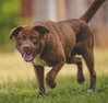 Rucker: At shelter - Photo 3