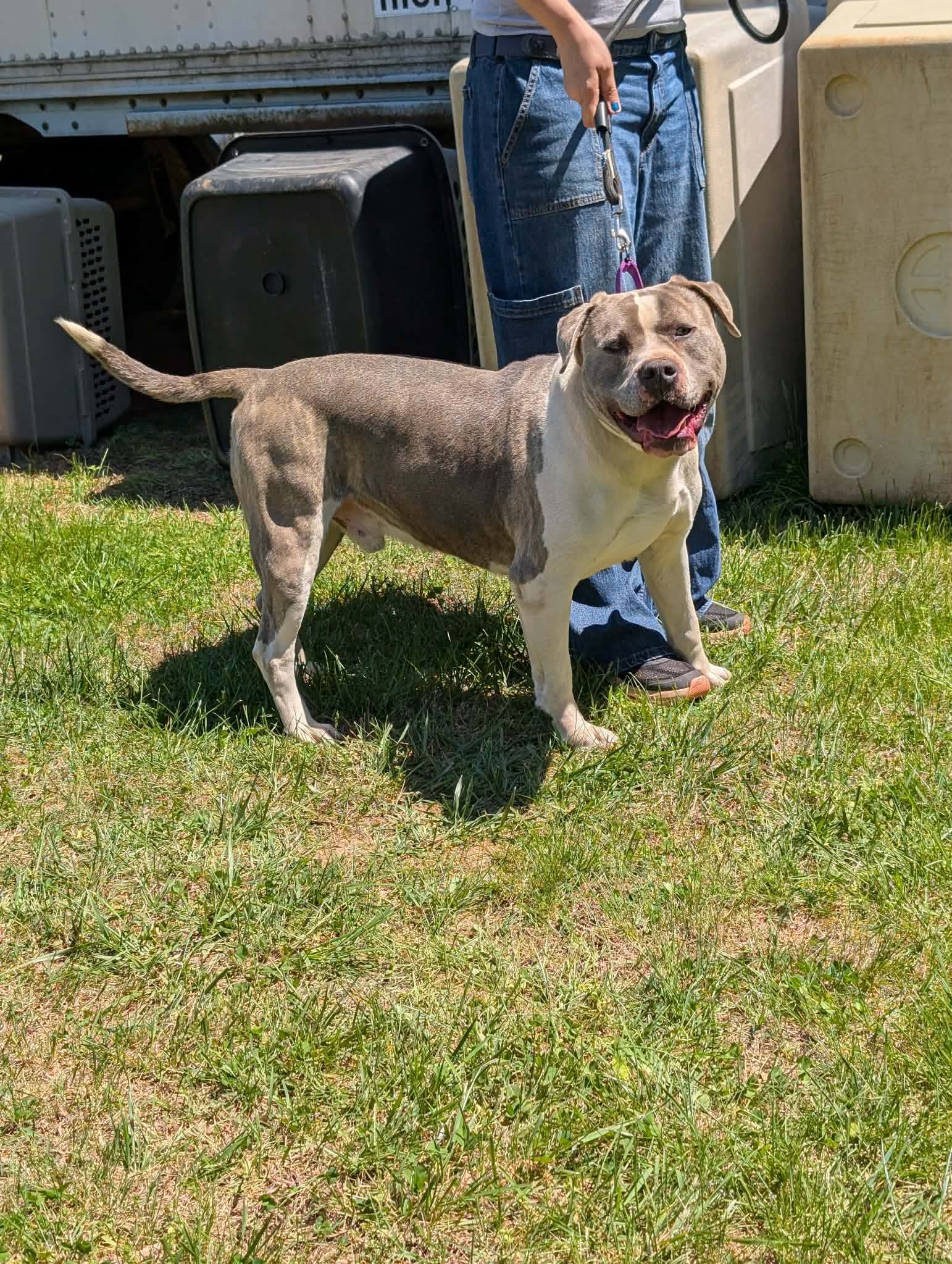 Blue - At shelter Image