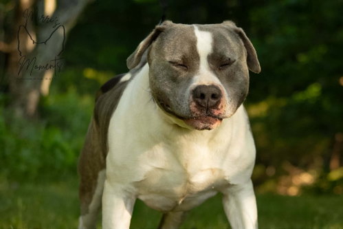 Blue: At shelter