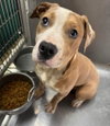 Saturn: Not At shelter