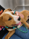 Saturn: Not At shelter