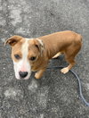 Saturn: Not At shelter