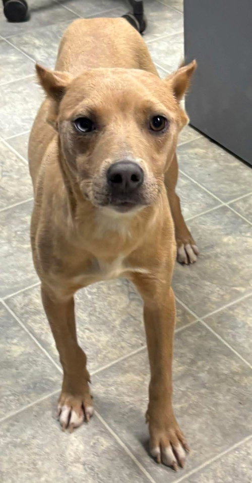 Aurora - At shelter available 6/6
