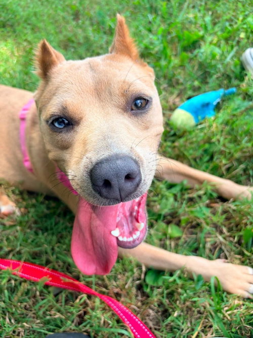 Tiana: At shelter