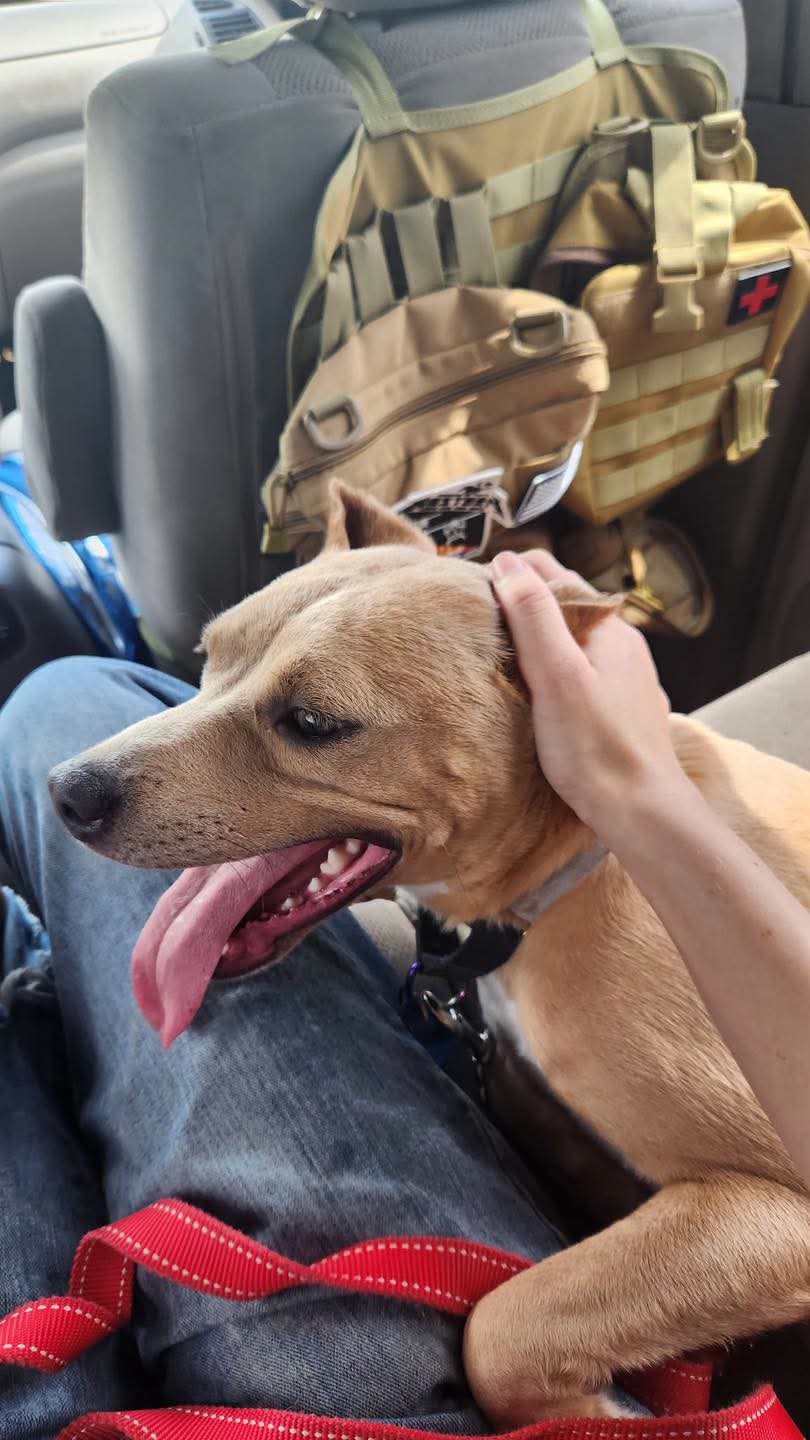 Tiana: At shelter
