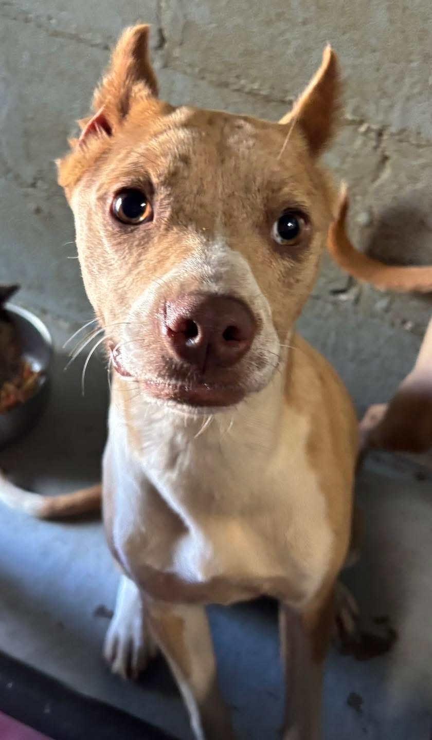 Aurora: At shelter
