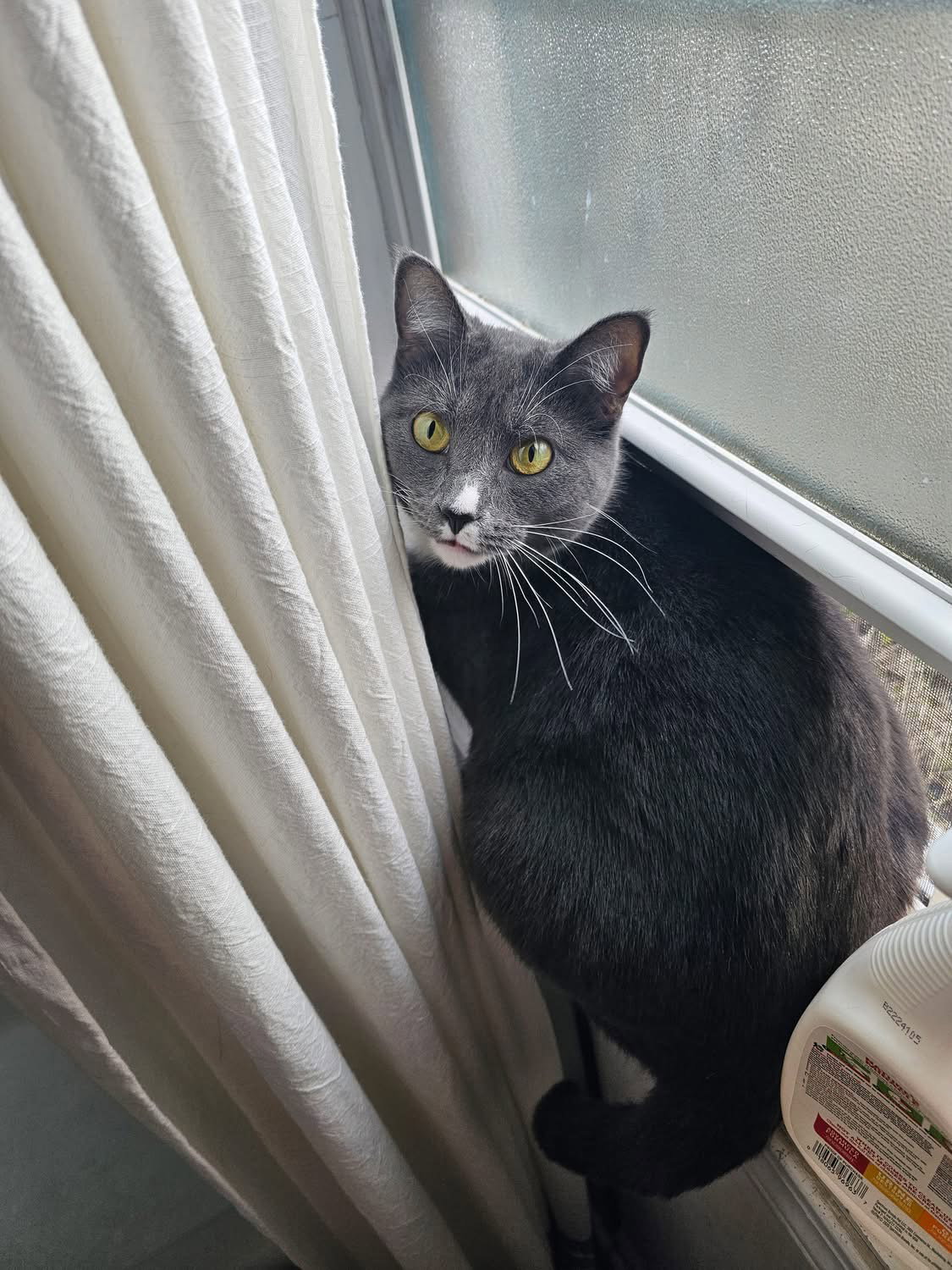 Freya My Home To Yours Not At Shelter