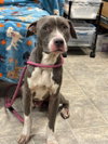 Bart: At shelter - Photo 1