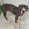 Bart: At shelter - Photo 2