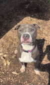 Bart: At shelter - Photo 5