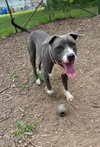 Bart: At shelter - Photo 6