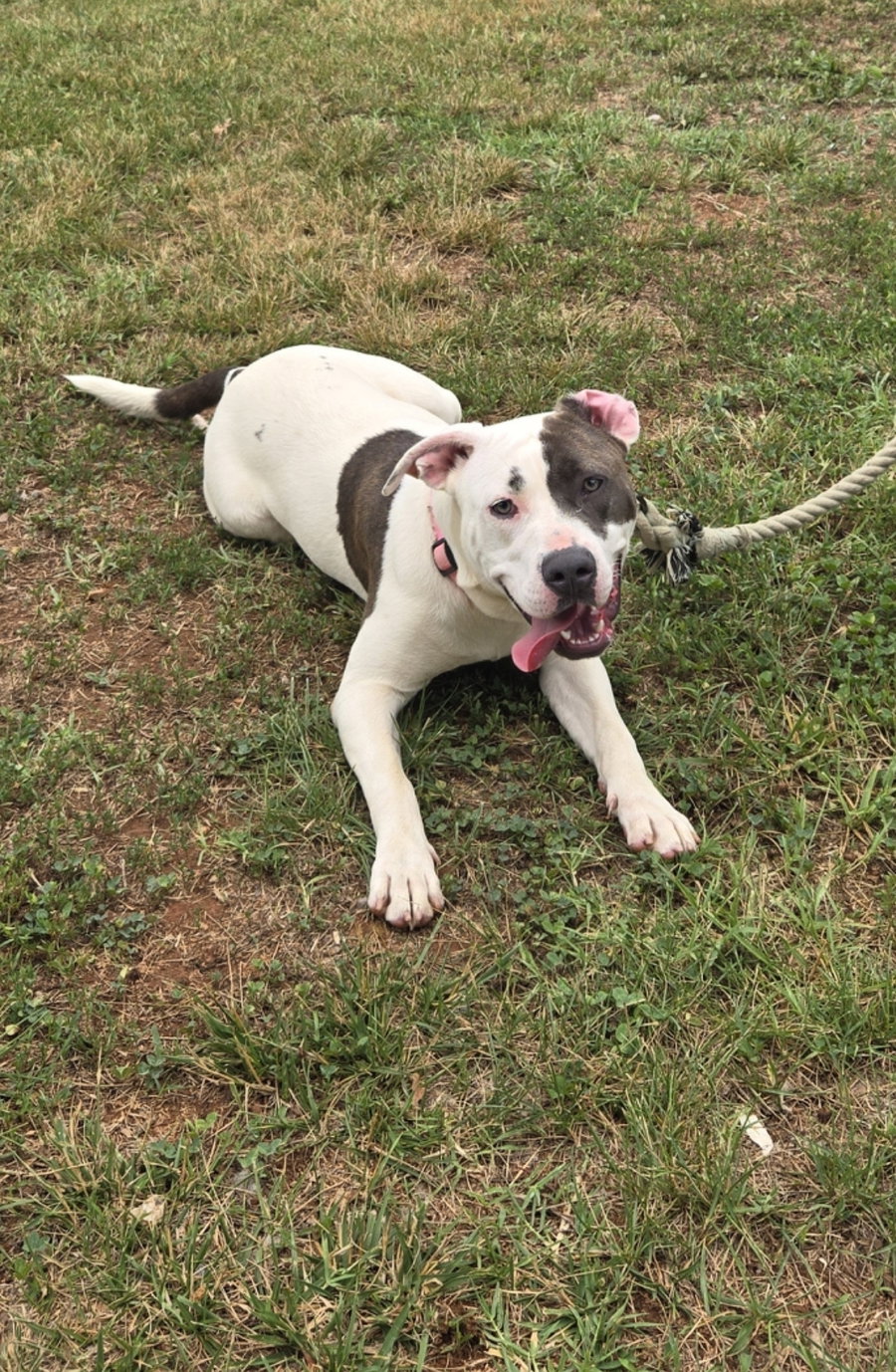 Nelly: At shelter