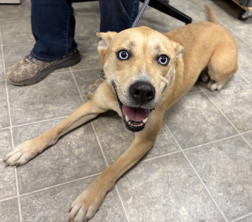 Aspen: At The Shelter photo 3