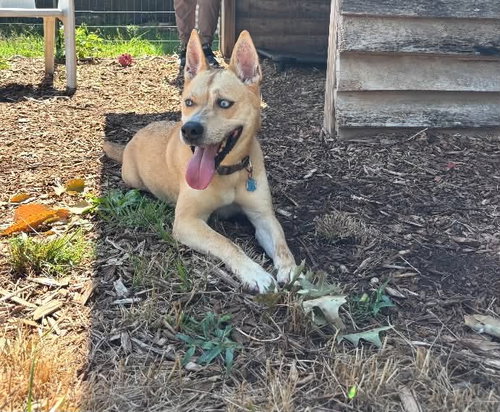Aspen: At The Shelter photo 4
