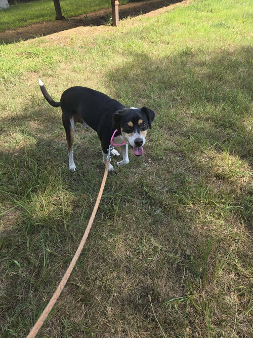 Jed: Not At Shelter