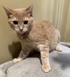 Depot - Not at the shelter (Faith)