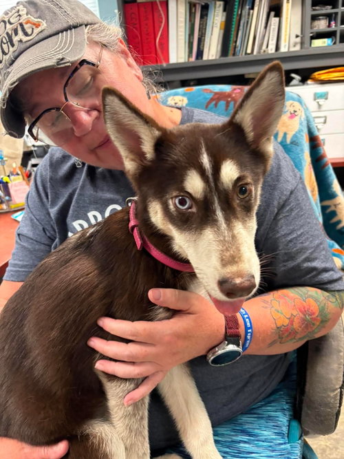 Coco: Not At Shelter photo 2