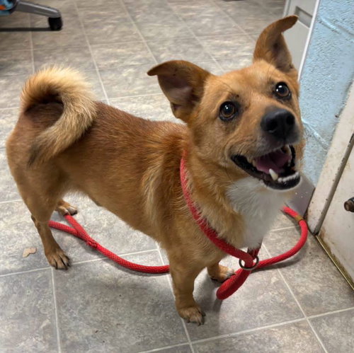 Steele - At shelter available 7/16