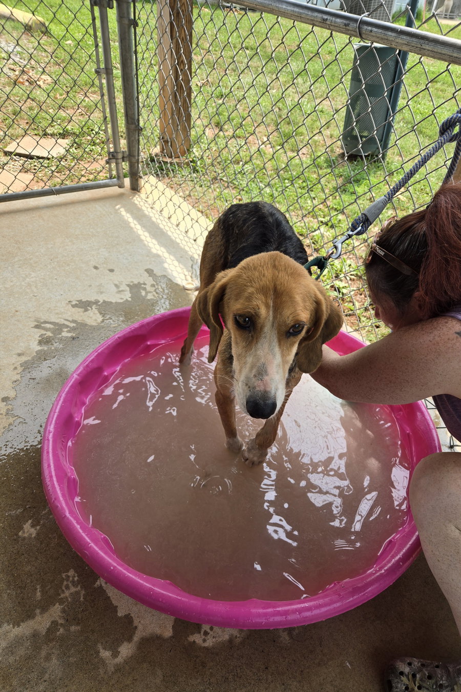Alex - At shelter available 7/20
